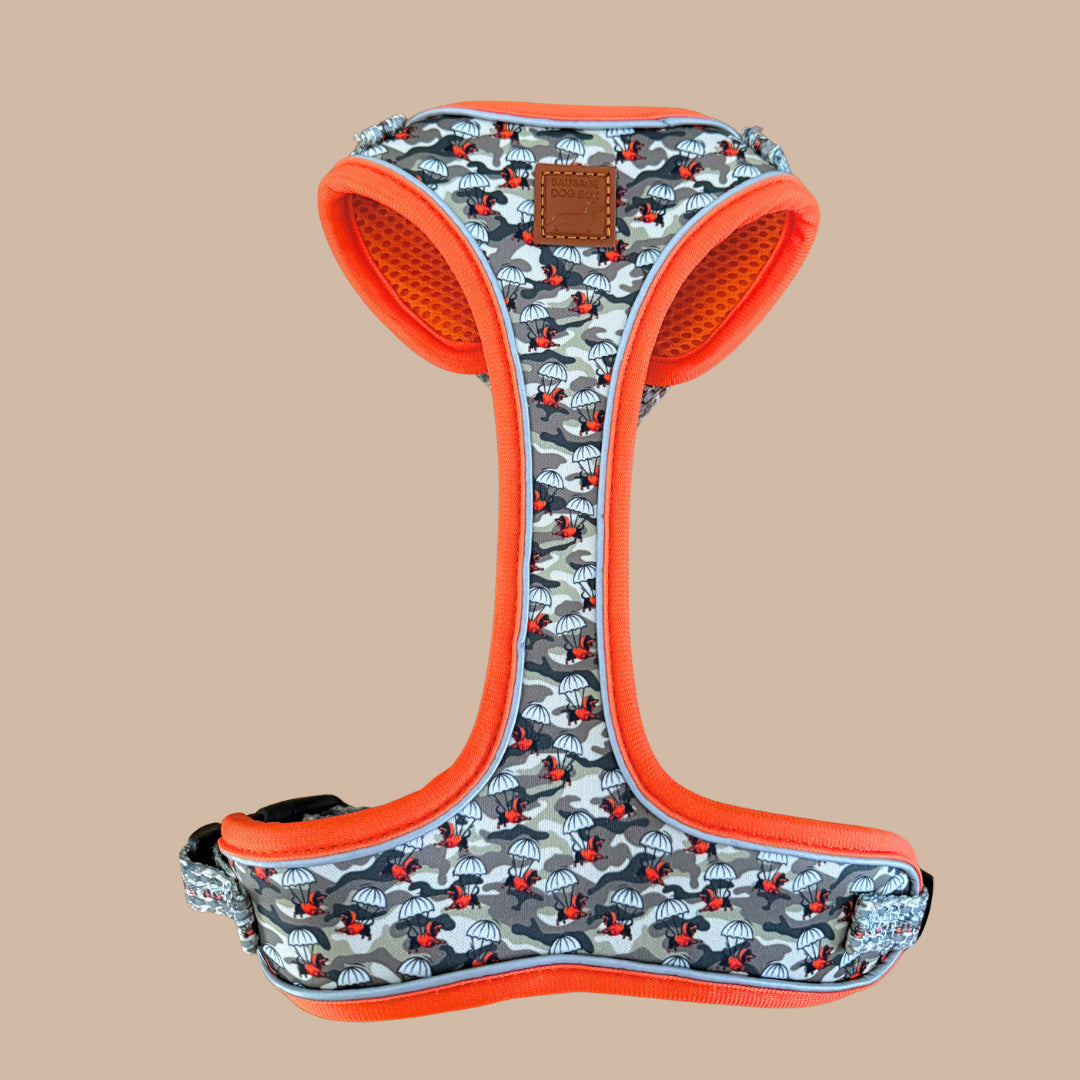 Action-Dax Anti-Rub Dachshund Harness