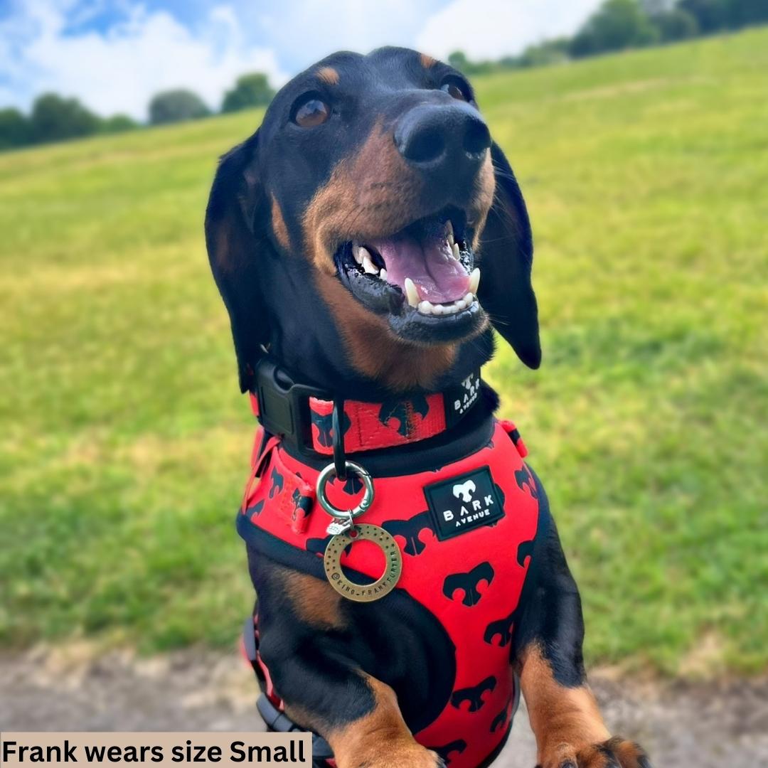 BARK AVENUE Adjustable Harness - 3 colours