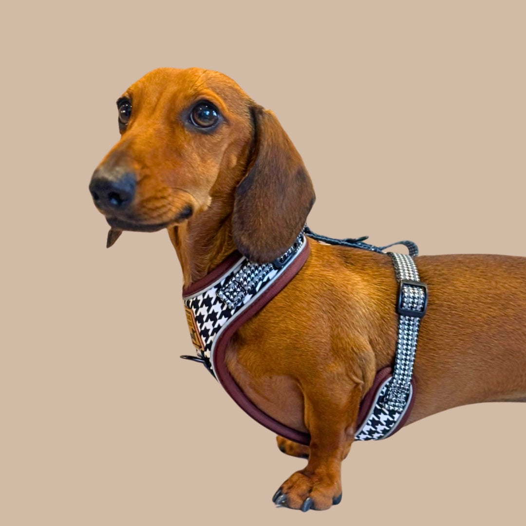 Houndstooth Anti-Rub Dachshund Harness For Sausage Dogs