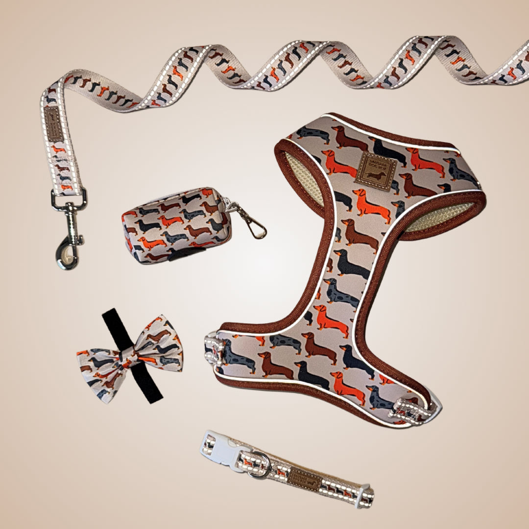 Beige Sophisticated Sausage Dachshund Bow Tie
