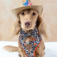 Load image into Gallery viewer, Howdy Cowboy Anti-Rub Harness for Dachshunds / Adjustable Sausage Dog Harness

