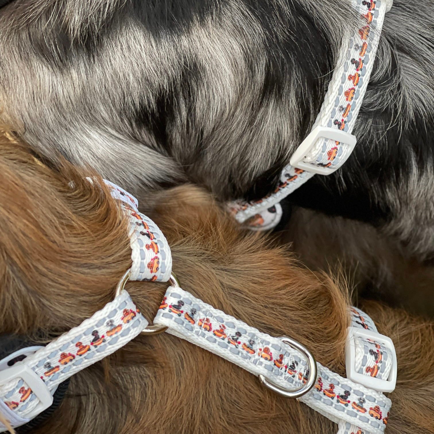 Anti-Rub Dachshund Harness - Weiner On Wheels