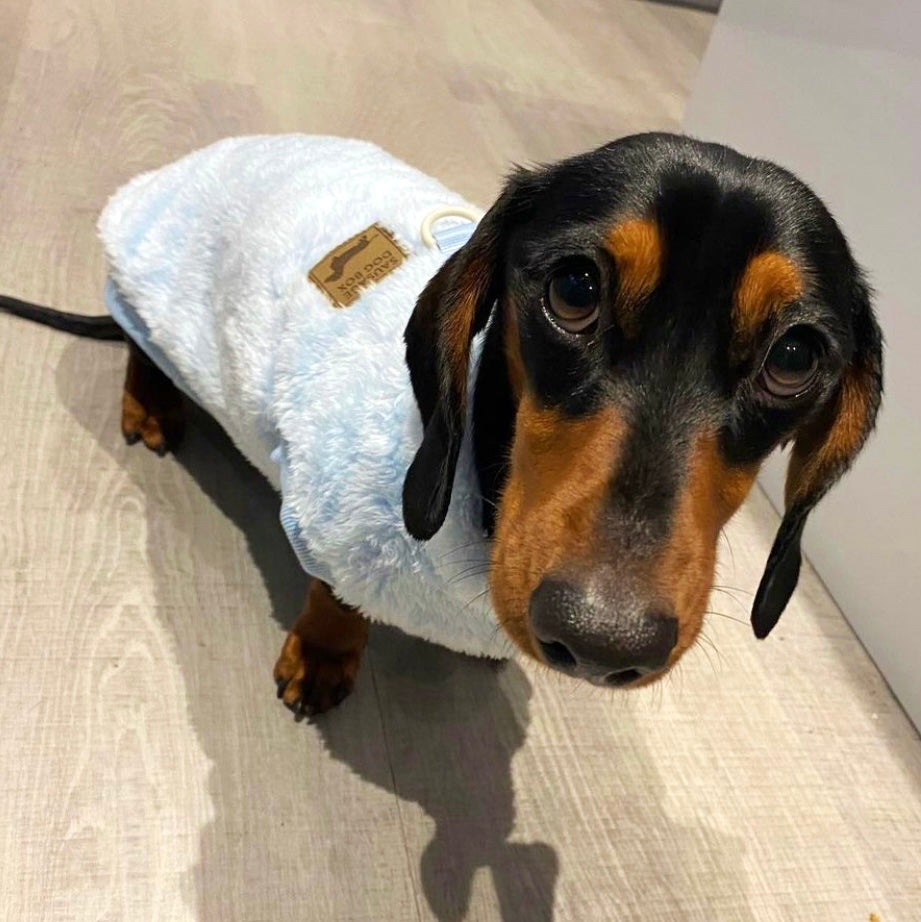 XXS Tiny Puppy Snuggle Dachshund Fleece - 20cm / 8inch Back | Sausage Dog Box