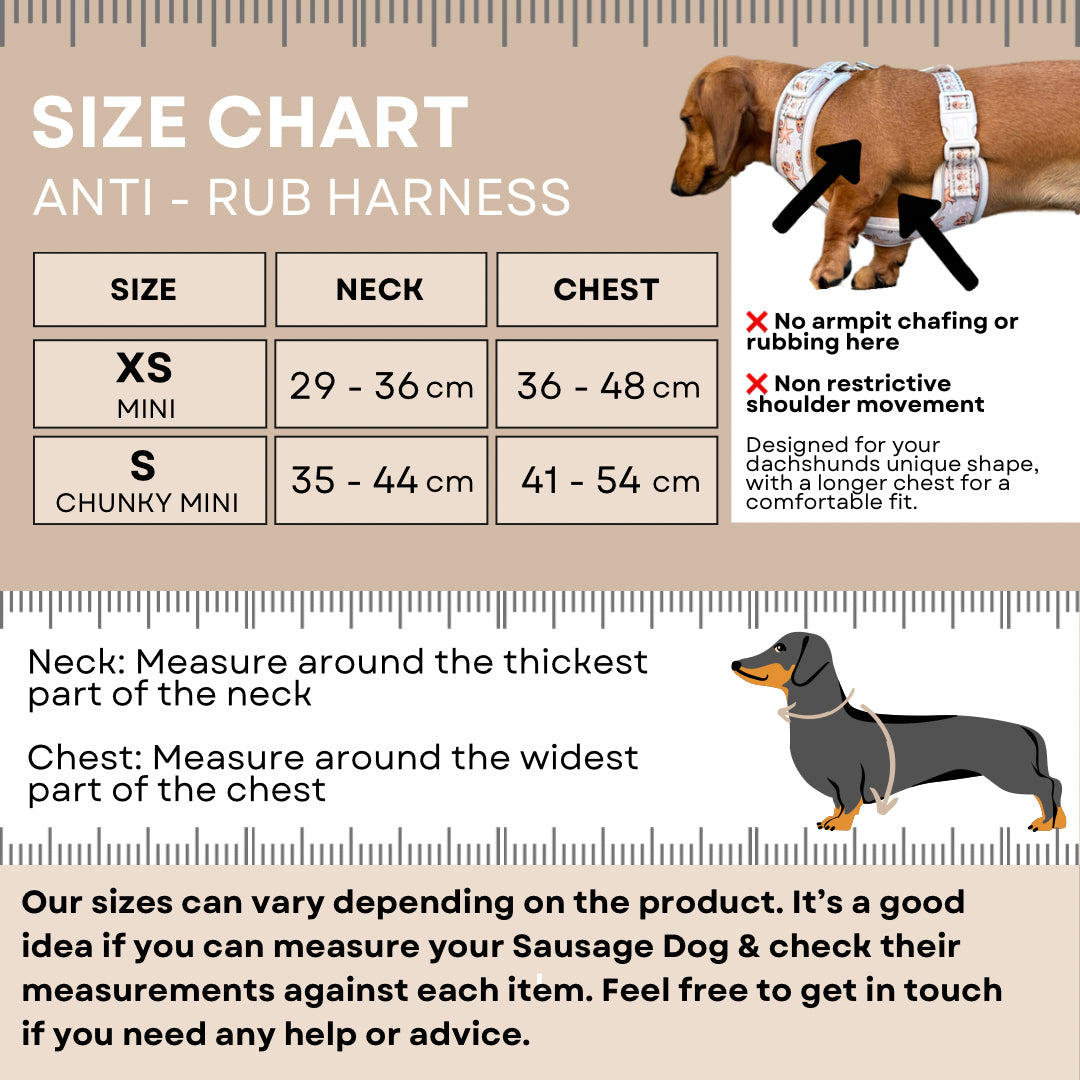 ‘Dashin’ Through The Dough’ Gingerbread Anti-Rub Dachshund Christmas Harness