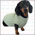 Load image into Gallery viewer, Forest Moss Luxury Cable Knit Dachshund Jumper - Sausage Dog Box
