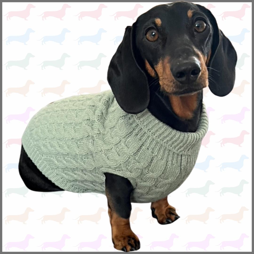 Forest Moss Luxury Cable Knit Dachshund Jumper - Sausage Dog Box