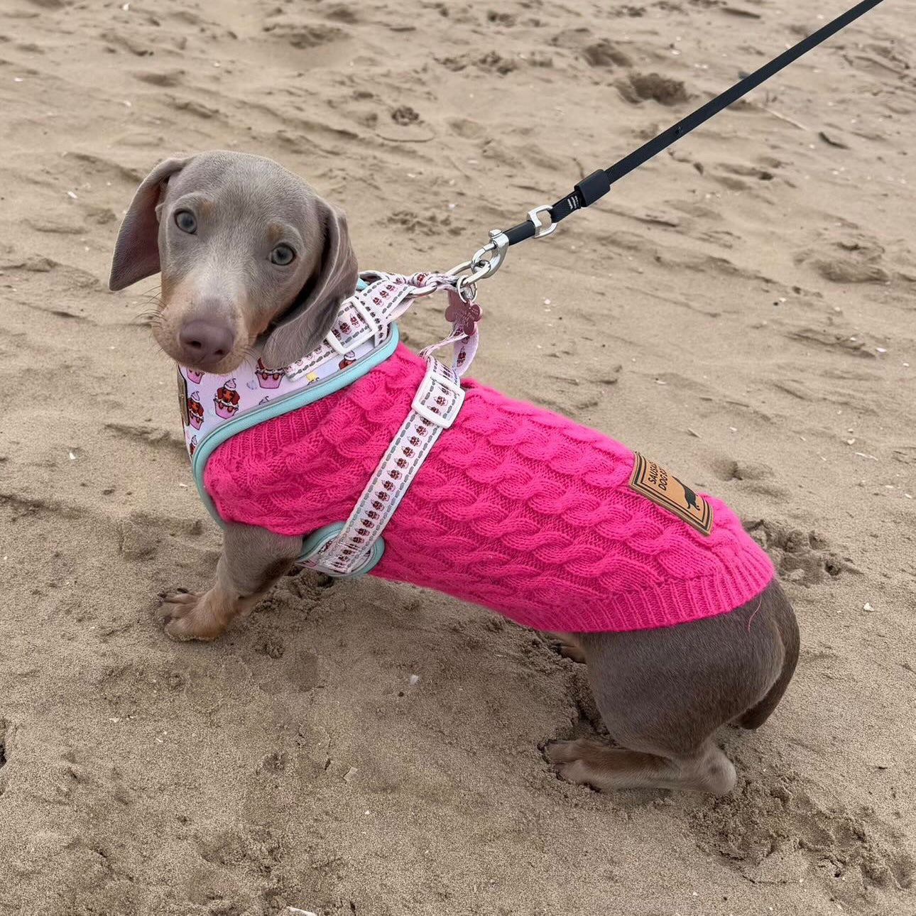 Raspberry Ripple Luxury Cable Knit Dachshund Jumper - Sausage Dog Box