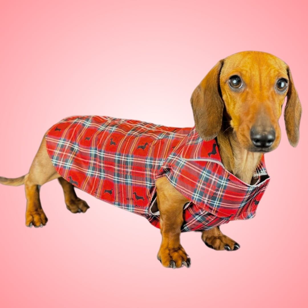 Tart'n Up 'Dach-A-Mac' Dachshund Rain Mac In Bag Sausage Dog Box Folda