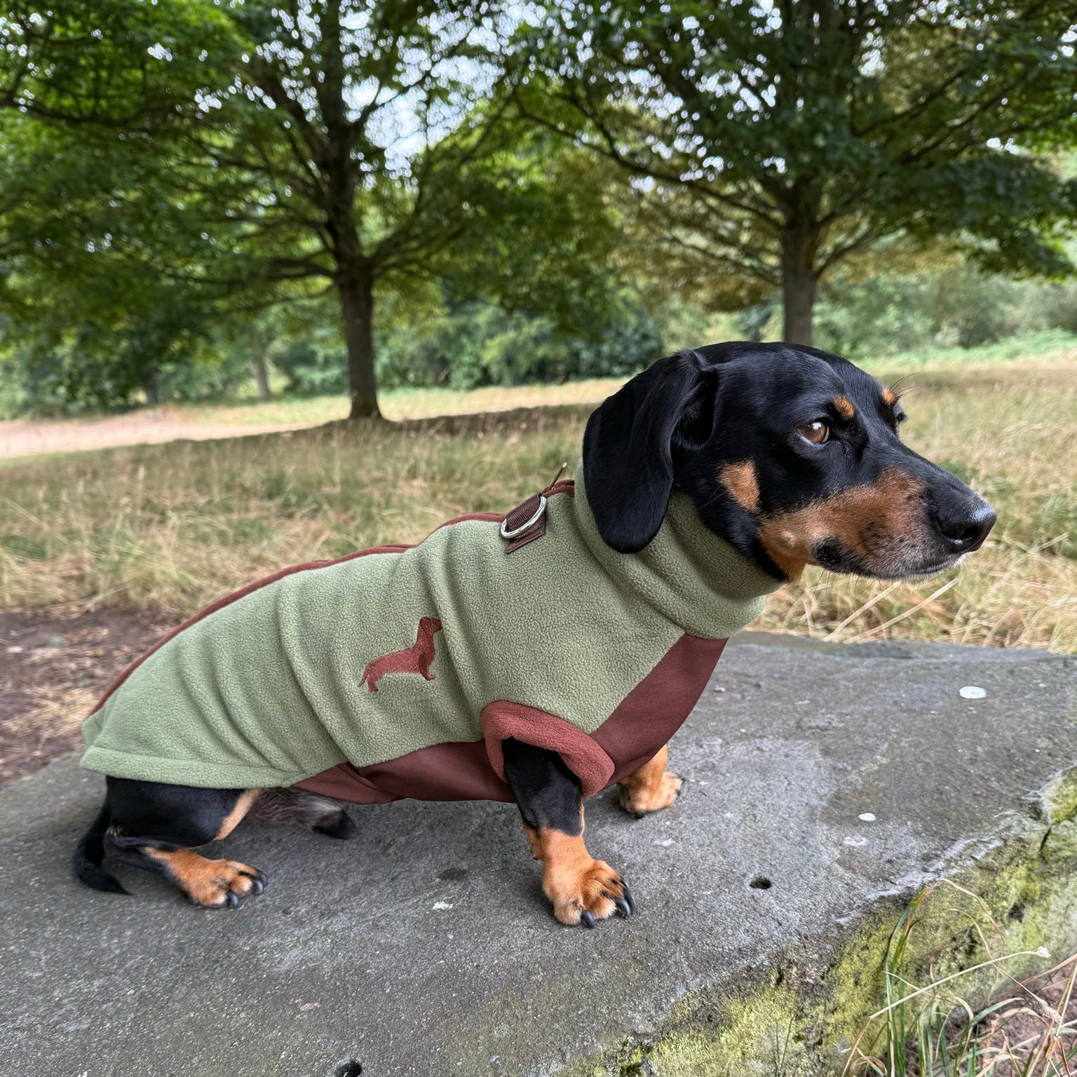 Pistachio Waterproof Dachshund Harness Fleece | DoxieDri by Sausage Dog Box