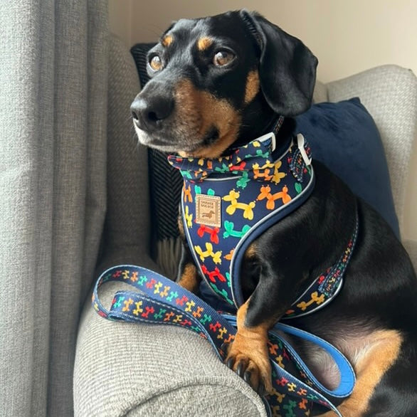 Navy Balloon Dog Dachshund Bow Tie