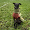 Load image into Gallery viewer, Pistachio PupDri Zip Back Dog Fleece Harness Jumper | Hound Outfitters
