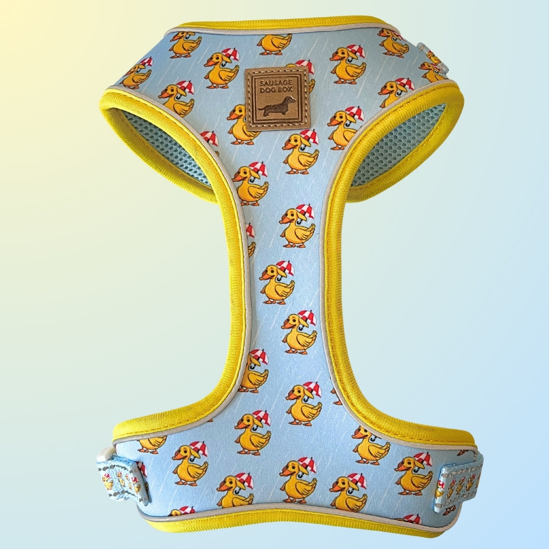 Duck-Hound Anti-Rub Dachshund Harness