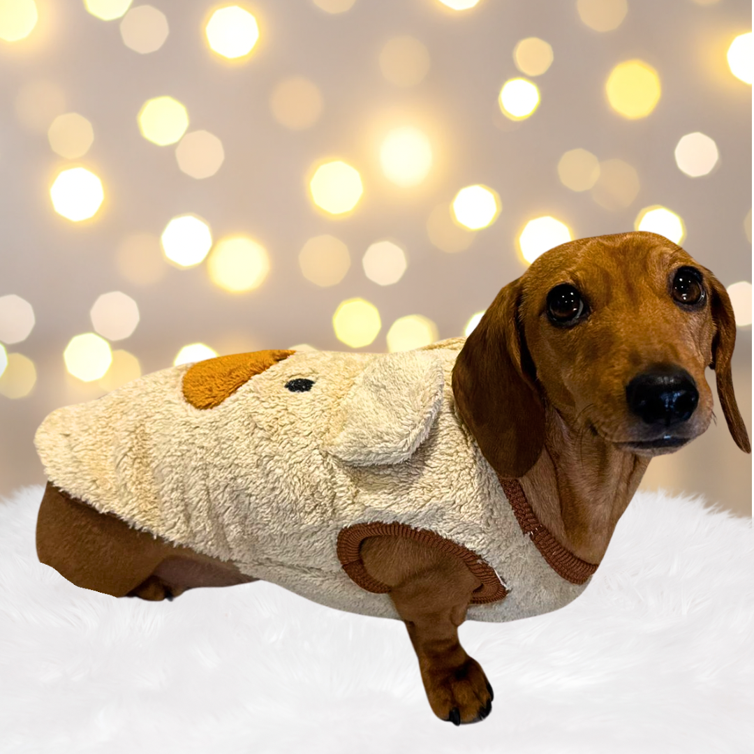 ’Beary Cute’ Dachshund Fleece PJ's | Sausage Dog Box