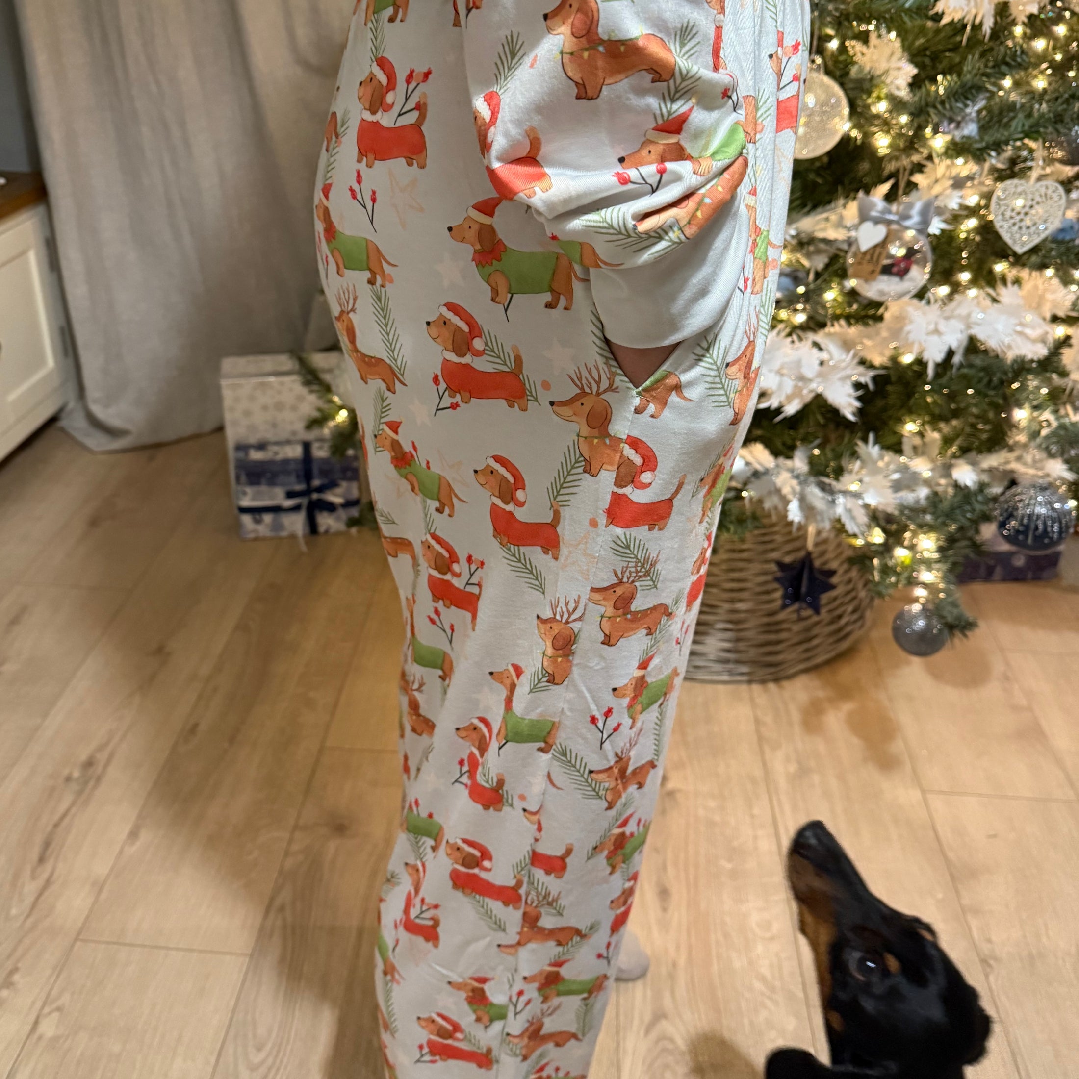 Christmas Matching Family Dachshund Print Pj’s