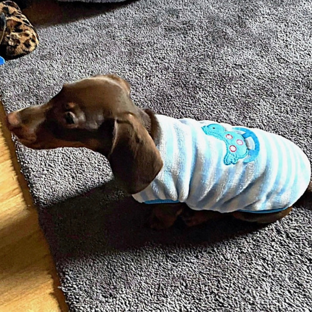 ‘Rock A Bye’ Sausage Dog Box Puppy Pj Jumper