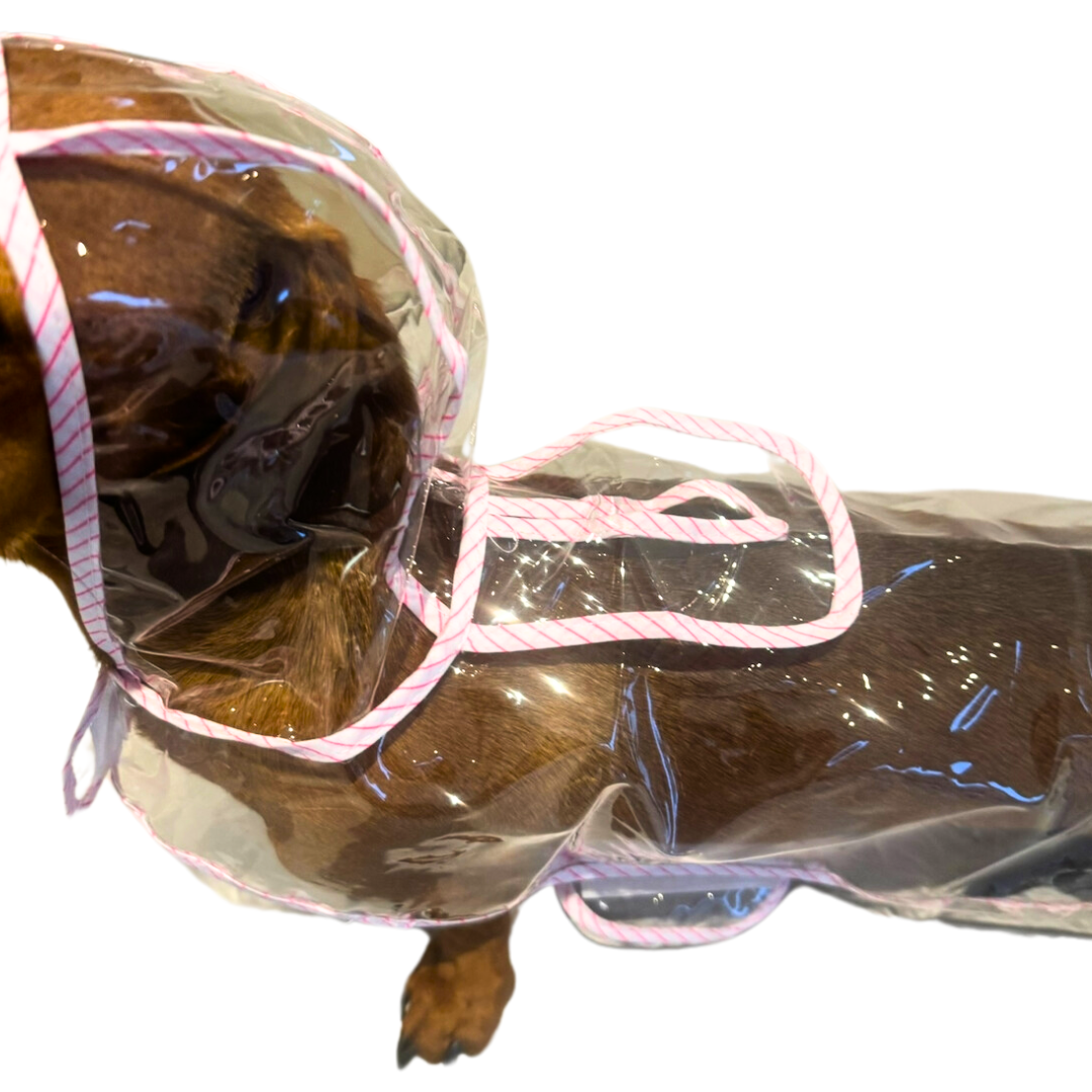 Pink Starburst Dachshund Naked Waterproof Rain Mac/Coat With Hood