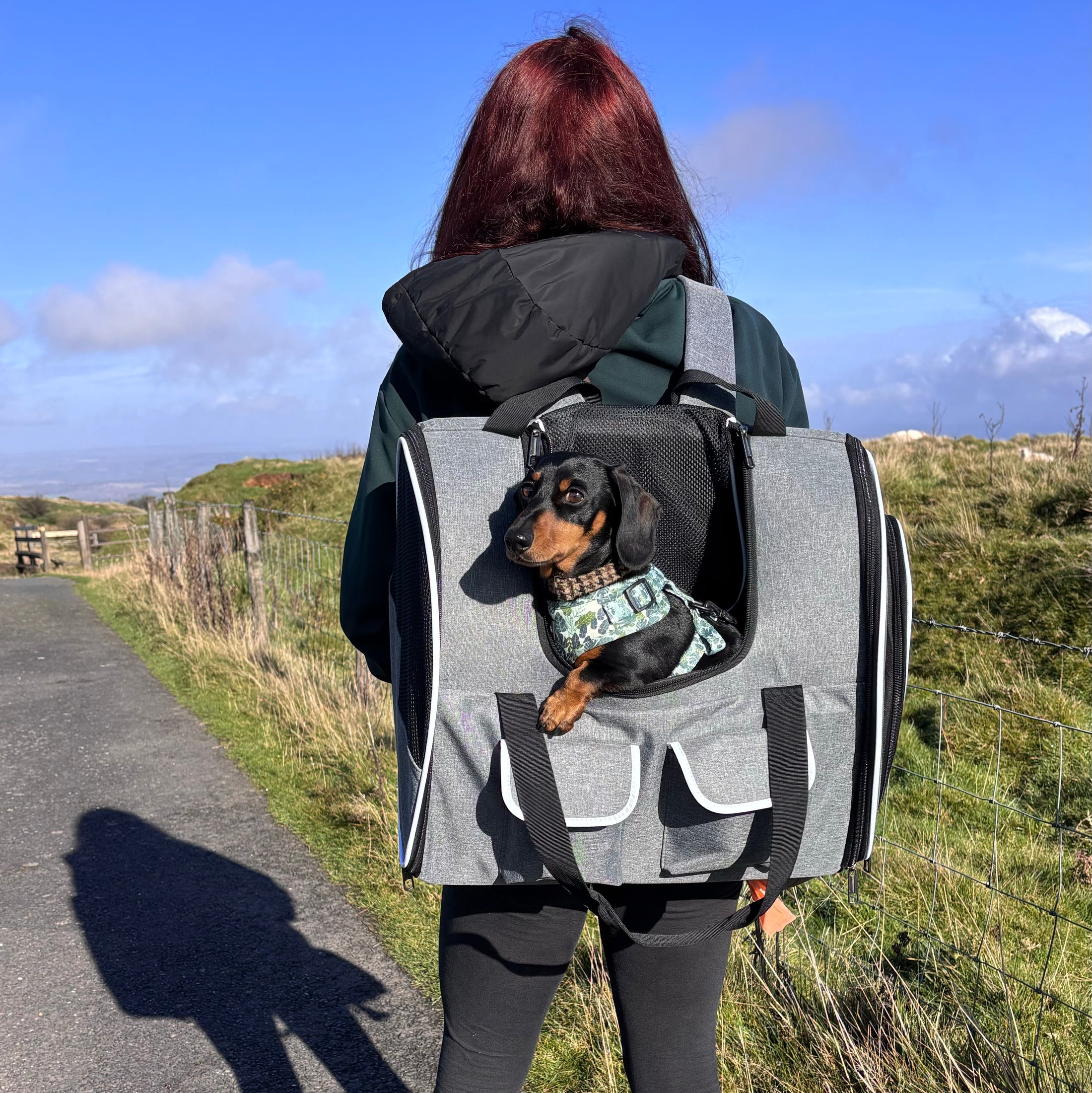 Sausage Dog Box Adventure Dachshund Backpack Carrier Airline Approved Holdall