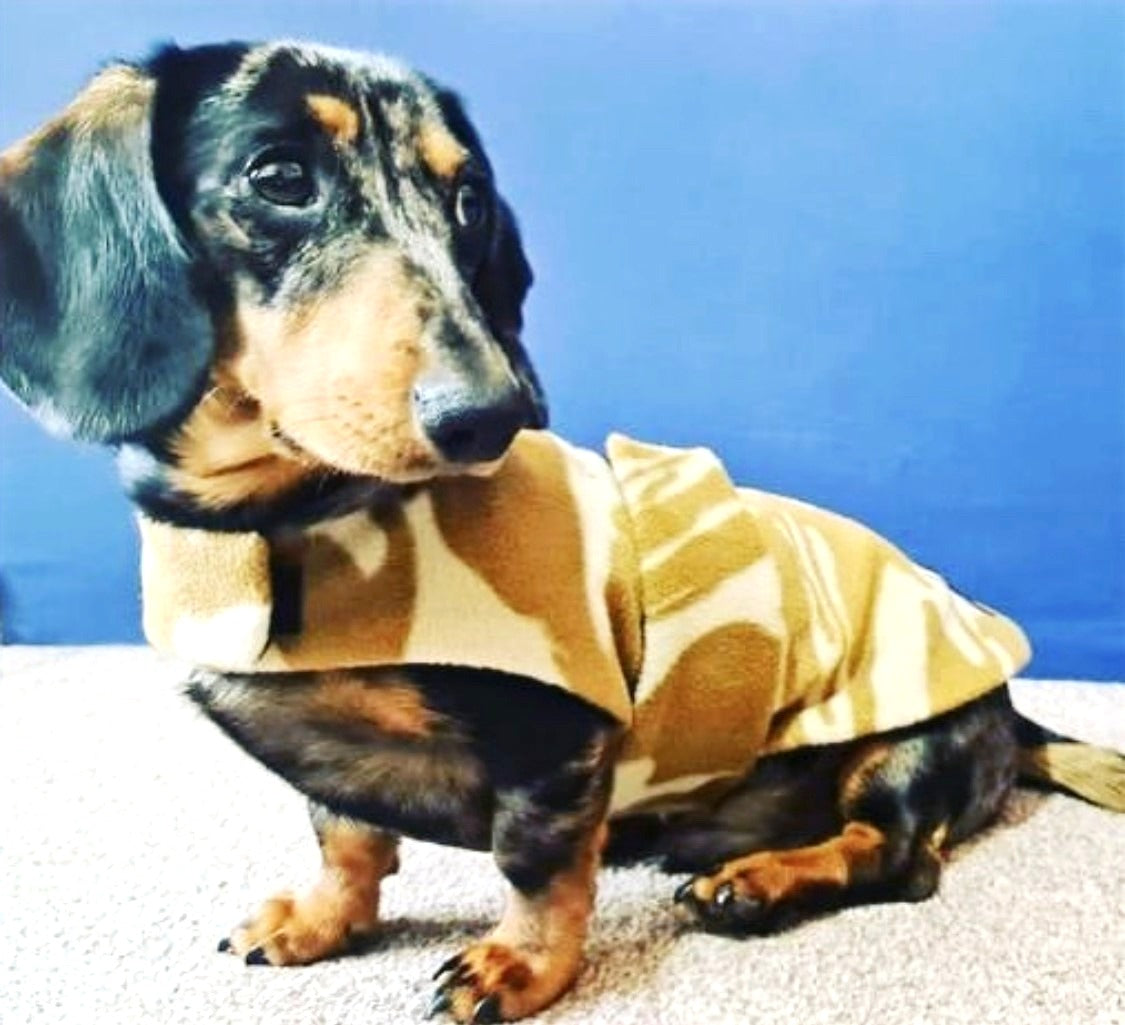 Sausage Dog Box Designer Fleece Waterproof Dachshund Coat - Camo