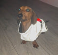 Load image into Gallery viewer, Sausage Dog Coat - Glow Getter - Reflective Light Up LED Dachshund Coat
