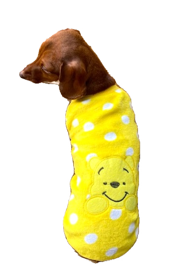Sausage Dog Box, Dachshund Yellow Bear Fleece PJ's/Jumper
