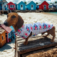 Load image into Gallery viewer, Nautical Sandy Sausage DoxieCool Dachshund Cooling Vest For Dachshund Dogs
