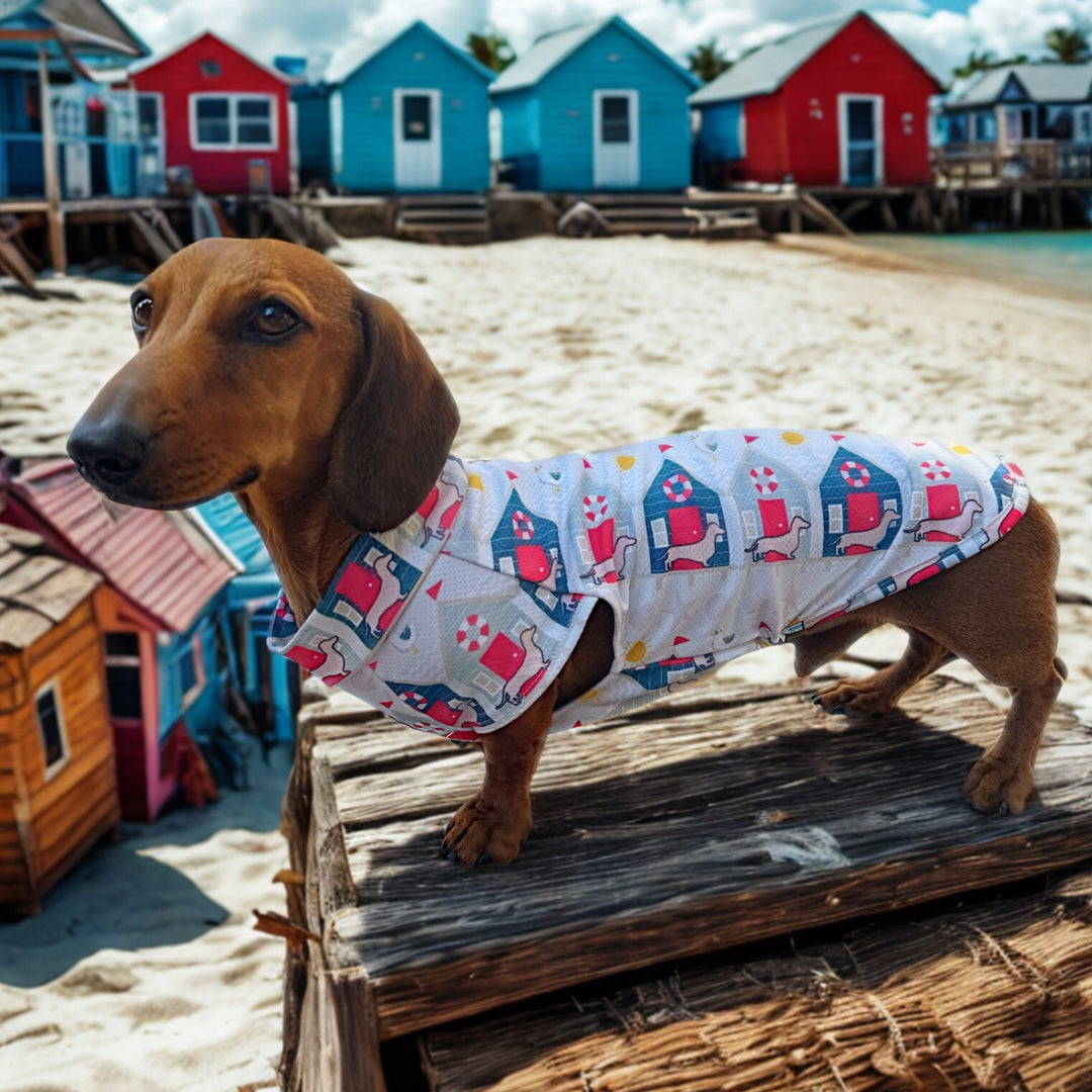 Nautical Sandy Sausage DoxieCool Dachshund Cooling Vest For Dachshund Dogs
