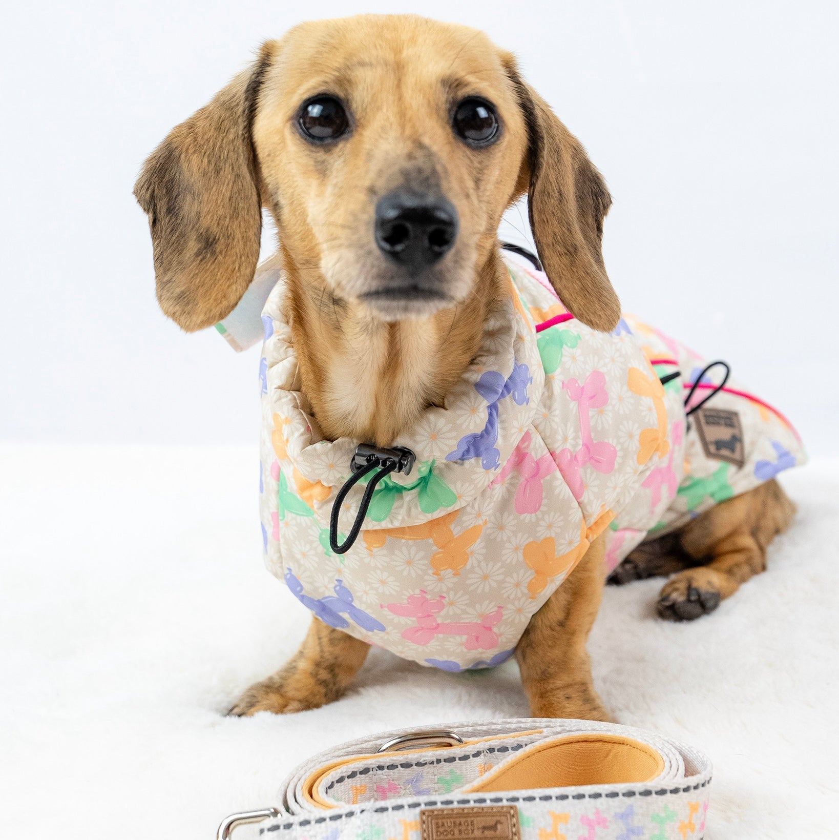 Daisy Balloon Thermal Dachshund Puffer Jacket Sausage Dog Harness Coat
