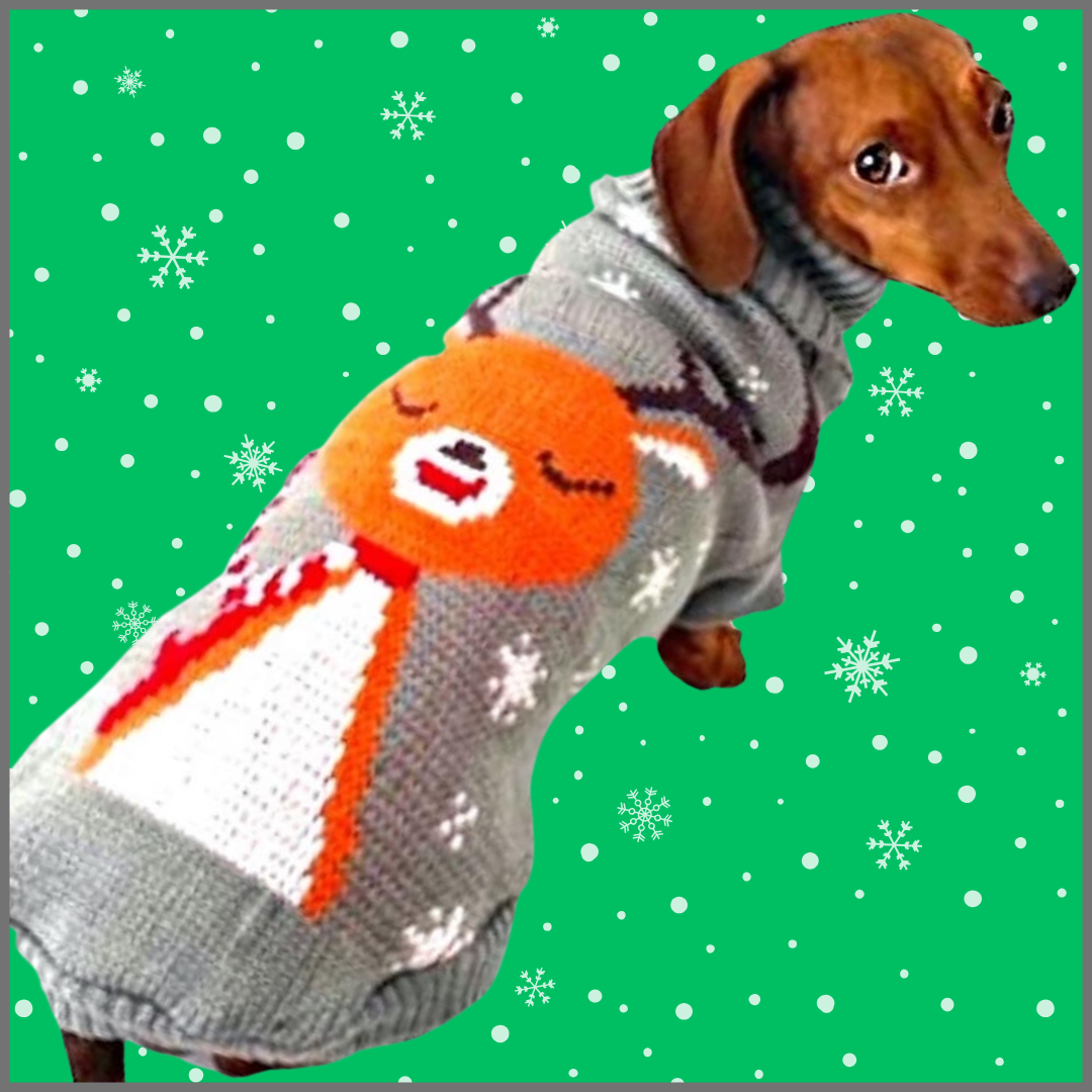 Sausage Dog Box Dachshund Reindeer Christmas Jumper