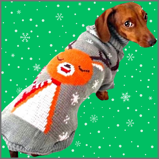 Sausage Dog Box Dachshund Reindeer Christmas Jumper