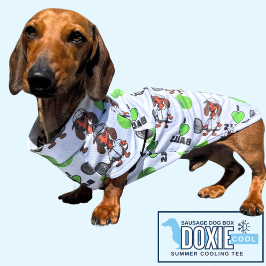 I LOVE BALLS DoxieCool Dachshund Cooling Tee Vest +30 Protection