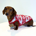 Load image into Gallery viewer, Red Oh Deer - Sausage Dog Box Dachshund PJ's/Jumper
