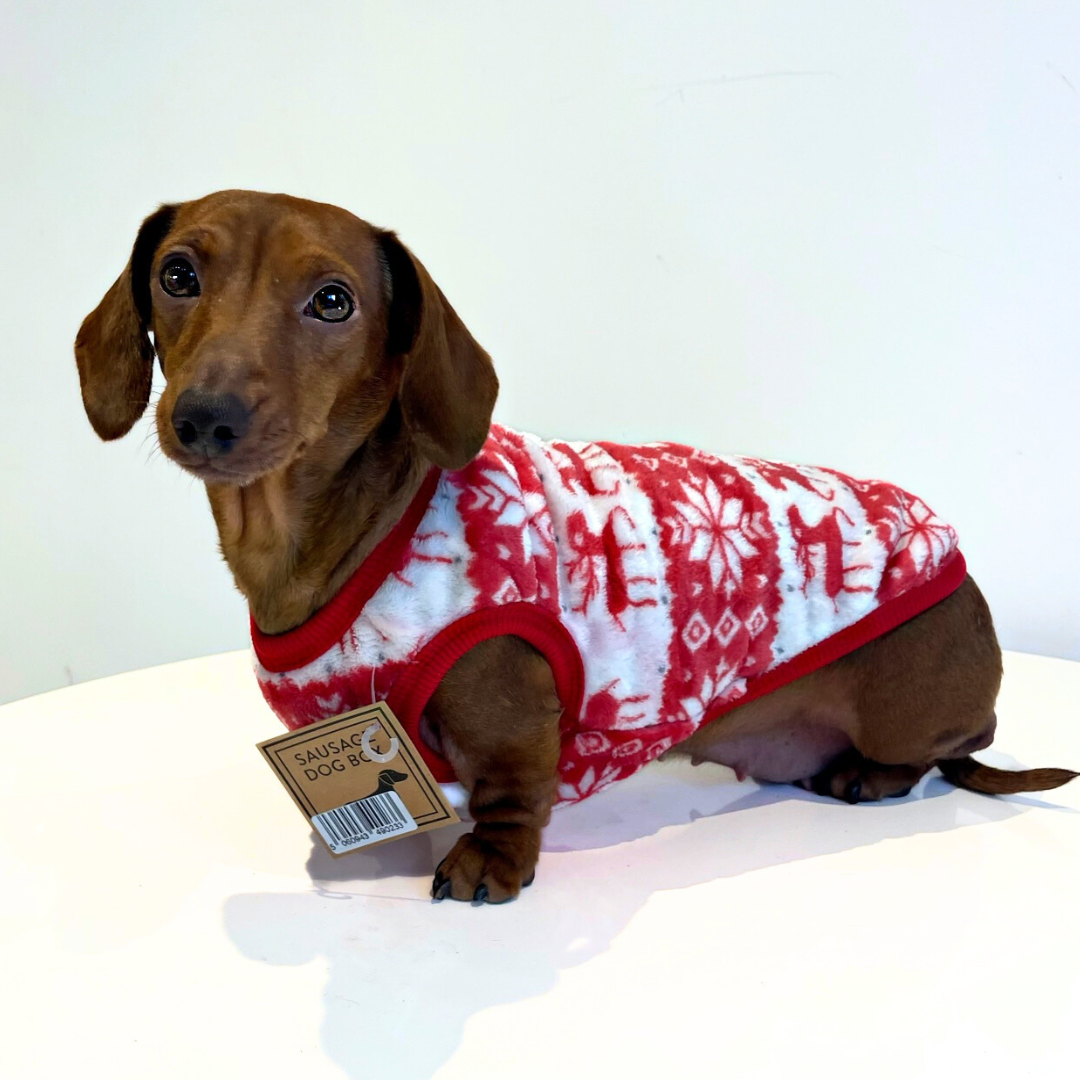 Red Oh Deer - Sausage Dog Box Dachshund PJ's/Jumper