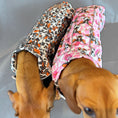 Load image into Gallery viewer, Howdy Cowgirl 'Dach-A-Mac' Dachshund Rain Mac In Bag
