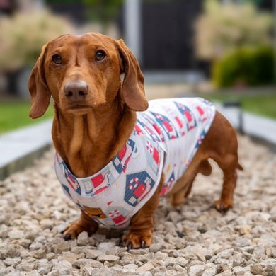 Nautical Sandy Sausage DoxieCool Dachshund Cooling Vest For Dachshund Dogs