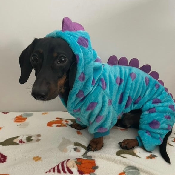 Dachshund Outfit - Little Monster