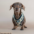 Load image into Gallery viewer, BARK AVENUE Adjustable Harness - 3 colours
