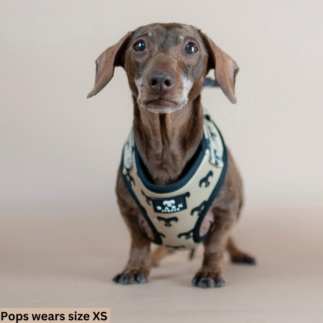 BARK AVENUE Adjustable Harness - 3 colours