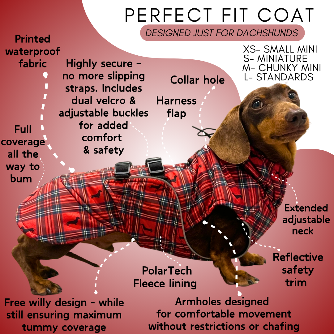 Sausage Dog Box Perfect Fit Dachshund Coat - Tart’n Up