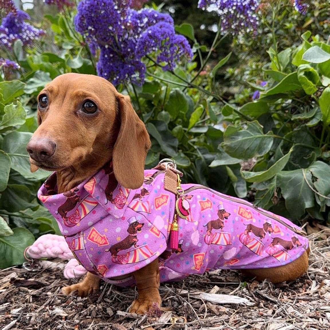 Fun Floss Purple Circus Dachshund Fleece Jumper / Sweater | Sausage Dog Box