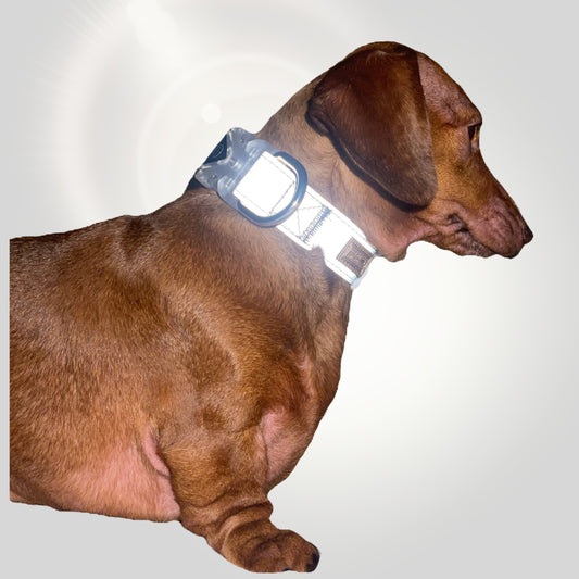 Reflective Flashing Collar - Glow Getter