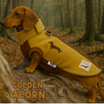Load image into Gallery viewer, Golden Acorn waterproof dachshund harness fleece on a miniature dachshund in woodland
