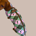 Load image into Gallery viewer, Pink Rosewood Argyle Fleece Dachshund Dog Jumper
