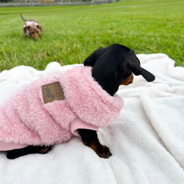 XXS Tiny Puppy Snuggle Dachshund Fleece - 20cm / 8inch Back | Sausage Dog Box
