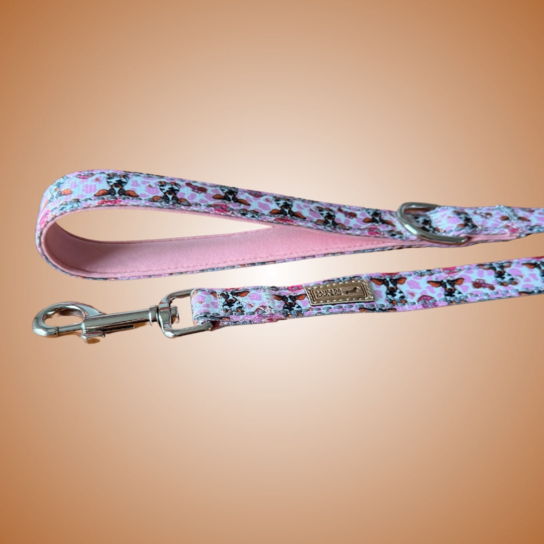 Pink Cow Dachshund Dog Lead / Leash