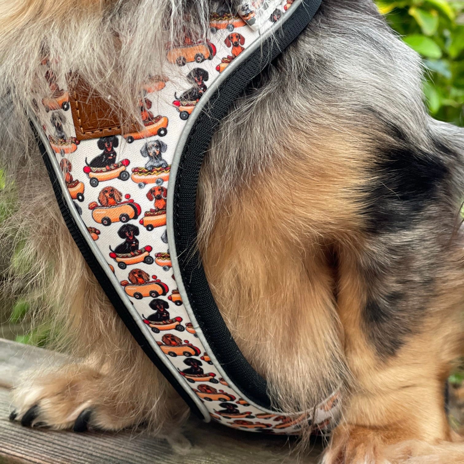 Anti-Rub Dachshund Harness - Weiner On Wheels