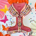 Load image into Gallery viewer, It's All Groovy Anti-Rub Dachshund Harness
