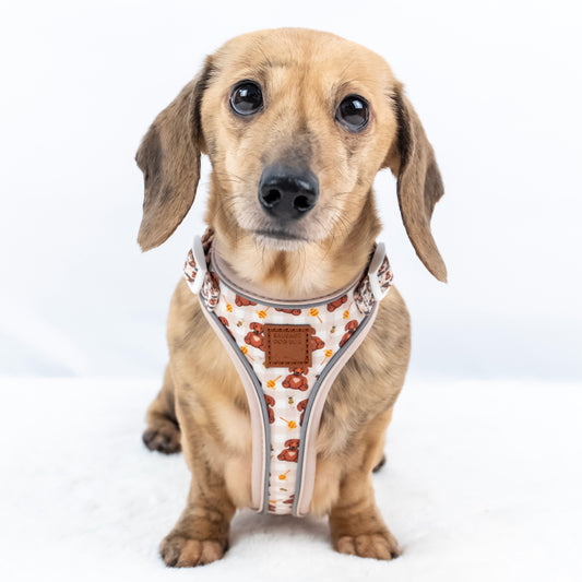 Honey Bear DoxieLite Sausage Dog Anti-Rub Harness