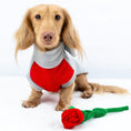 Load image into Gallery viewer, Cupids Kiss Waterproof Dachshund Harness Fleece | Sausage Dog Box DoxieDri
