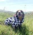 Load image into Gallery viewer, CLEARANCE - Sausage Dog Box, Dachshund Cute Cow Outfit
