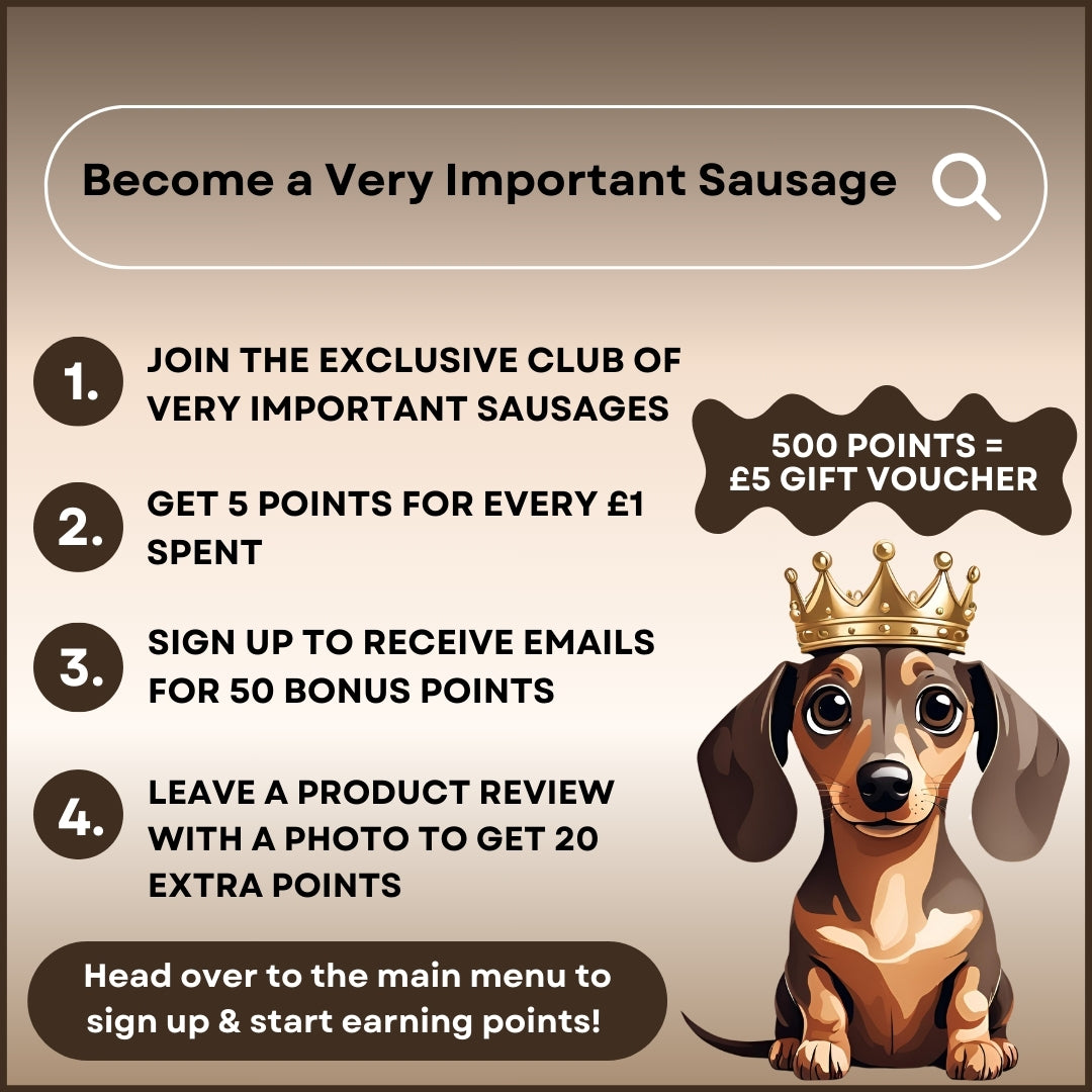 Beige Sophisticated Sausage Dachshund Lead